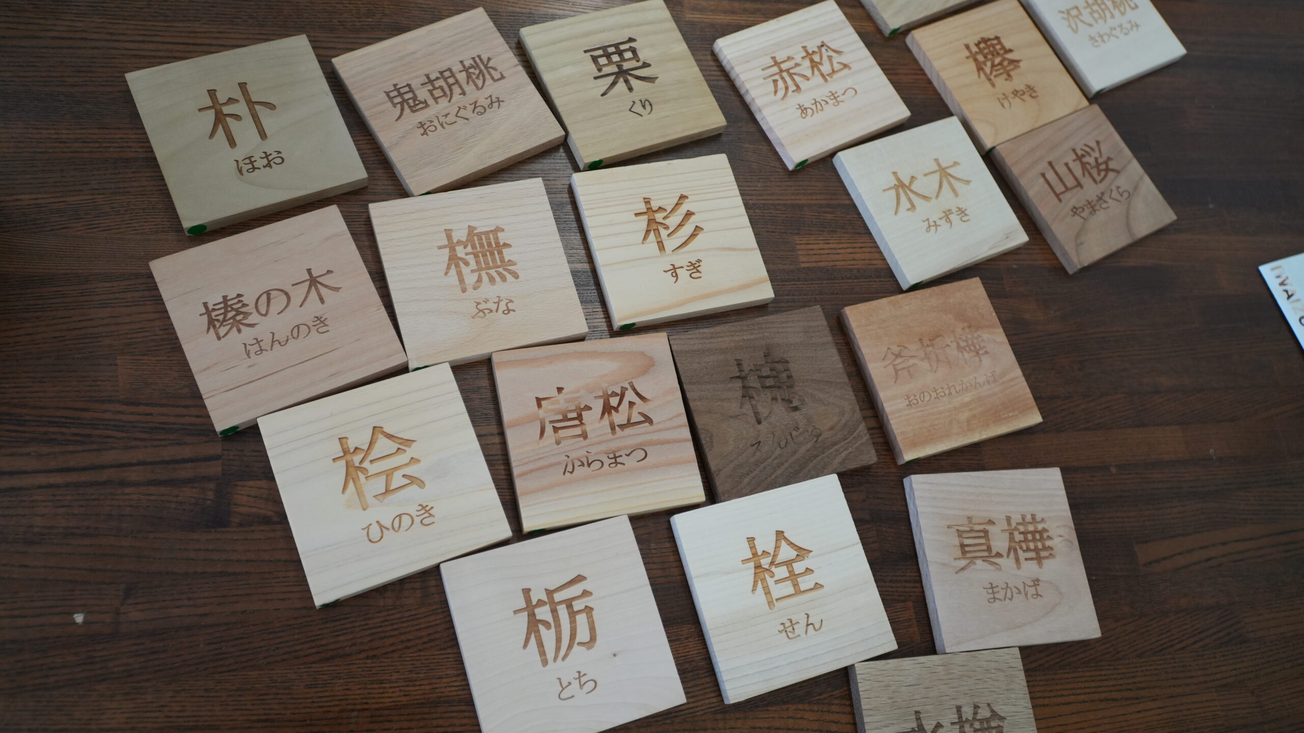 活動の様子