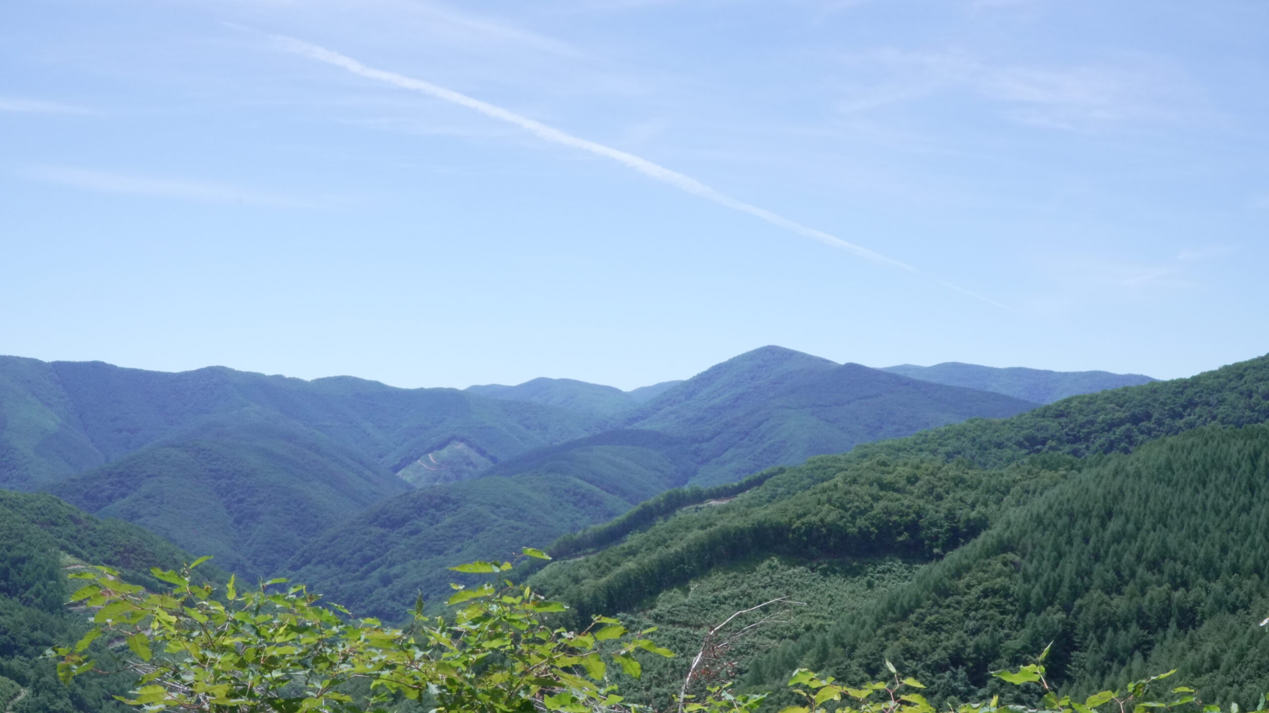 活動の様子